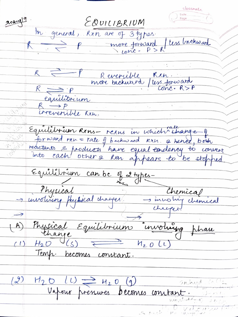 Equilibrium Class 11 PDF