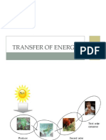 Transfer of Energy