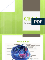 Cell Parts and Functions Explained