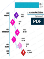 M02A02B+ +a+Escada+Do+Metabolismo