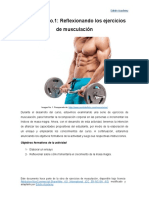 Actividad 1 Ejercicios de Musculación