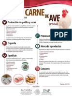 Producción de pollo y razas gallus gallus domesticus