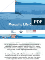 Mosquito Life Cycle English 7 28 17