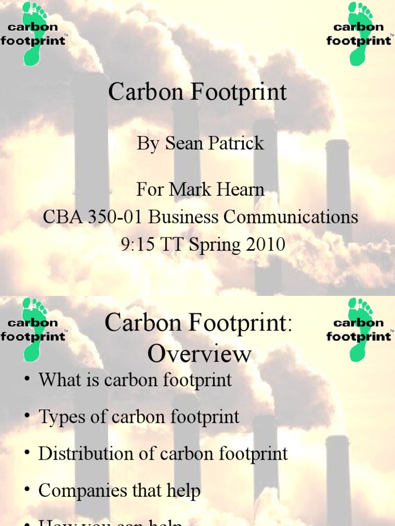 Understanding Carbon Footprint Basics | PDF | Carbon Footprint | Nature