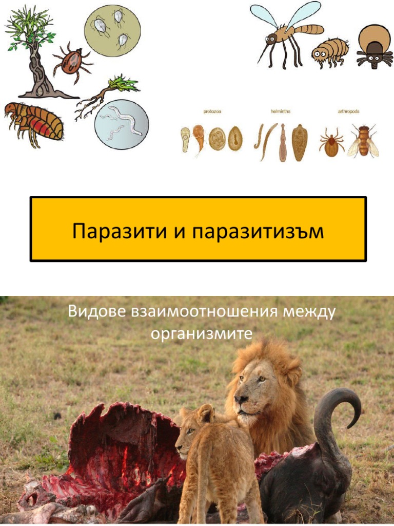 Паразити-и-паразитизъм-основни-понятия-в-паразитологията | PDF