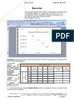 Sarcini4 Word Tabele Ro-2