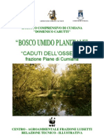 Bosco Umido Planiziale Caduti Dell'ossezia - Copertina Relazione