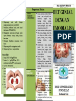 Leaflet CKD On HD