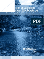 Introducción Al Cálculo de Caudales Ecologicos - Endesa