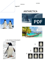 fisa_tema pinguinii