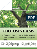 Photosynthesis and the Calvin Cycle Explained