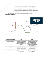 Actividad 2. Biología Génetica