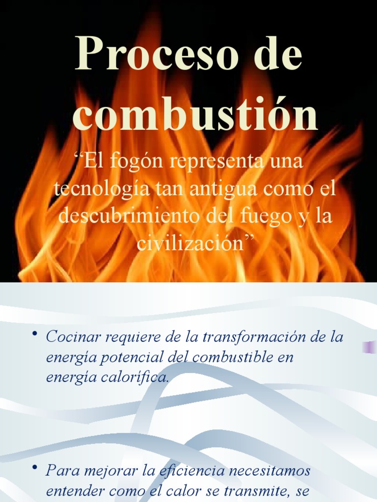 FUNCIONAMIENTO DE LOS ARTEFACTOS DE COMBUSTIÓN LENTA 2JULISSA
