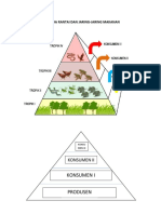 Piramida Rantai Dan Jaring-jaring Makanan
