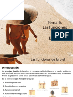 Tema6 - Funciones de La Piel