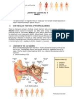 Lab Exercise 9