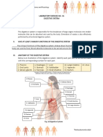 Lab Exercise 16 17