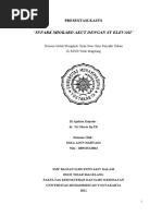 Download STEMI by Dika Ajun Haryadi SN55906037 doc pdf