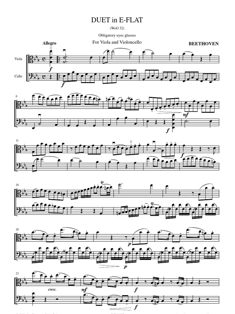 Beethoven Eyeglasses Duo