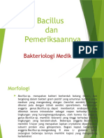 10 - Bacillus SP