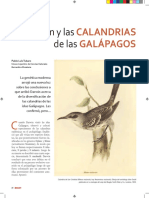 Lectura - Darwin y Las Calandrias