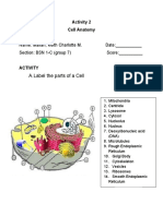 A.Label The Parts of A Cell