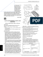 Salviae miltiorrhizae radix et rhizoma