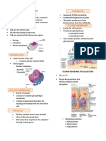 Anaphy Cell and Tissue Notes