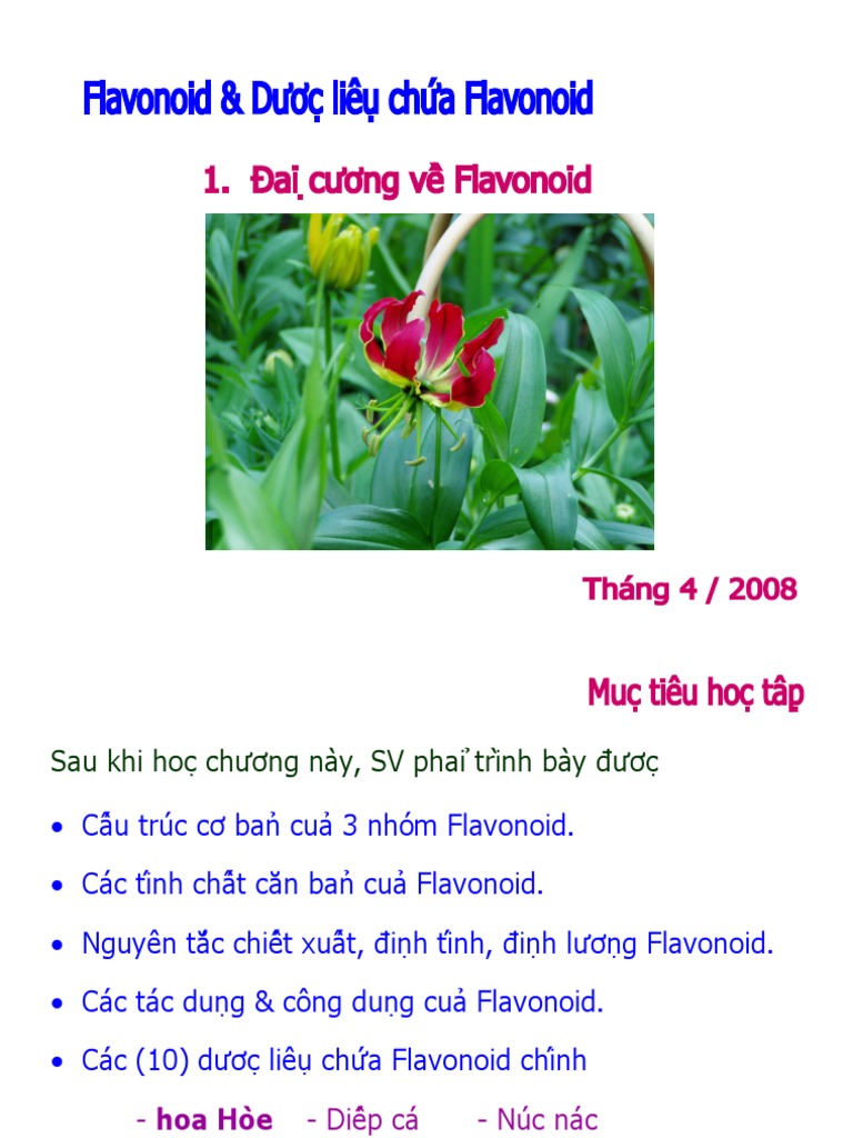 Bài Giảng Flavonoid - Dược Liệu Chứa Flavonoid | PDF