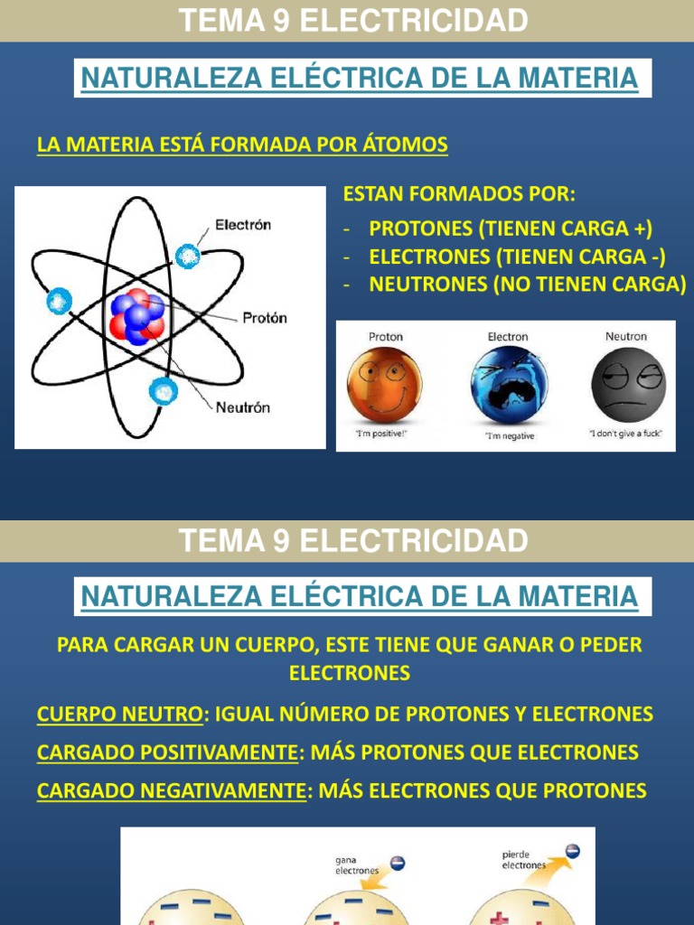 Carga Electrica PDF Electricidad Carga eléctrica