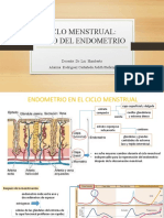 Ciclo Uterino - Rodriguez Castañeda Judith Stefany