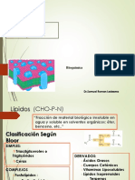 Química de Los Lípidos