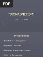 "Biomagnetism": Zulia Caamaño