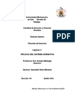 Eficacia Del Sistema Normativo - Capitulo 5