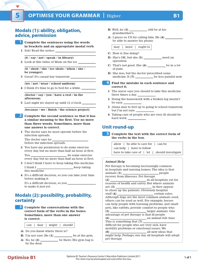 OPT B1 U05 Grammar Higher | PDF | Pet | Hospital