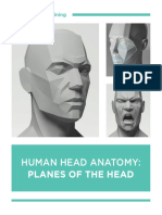 03 Human Head Anatomy Planes of The Head