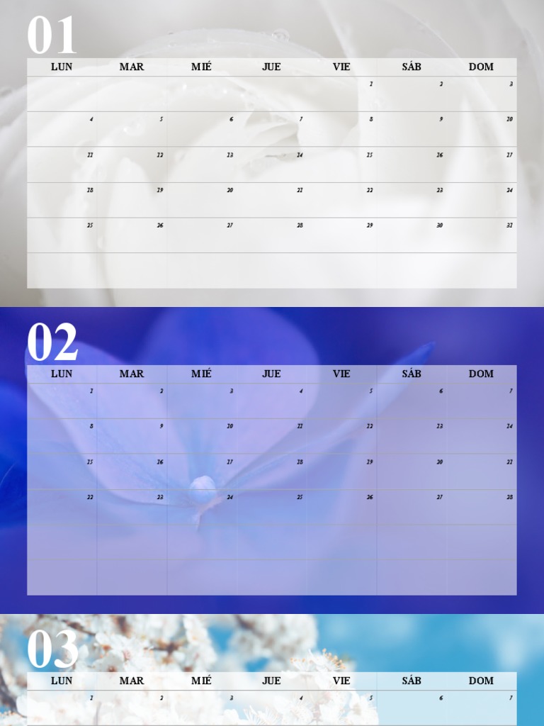 Monthly Calendar Overview | PDF