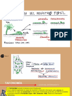 TEMA 2 Introducción a la Paleontología