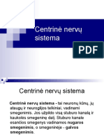 Centrine Nervu Sistema - 1 - Kopija