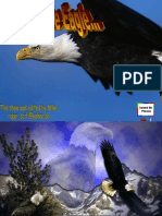 Rebirth of the Eagle
