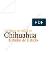 MX Study Chihuahua Es