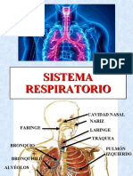 Aparato Respiratorio