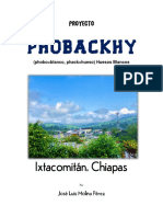 Proyecto Phobackhy