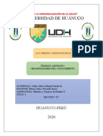 Universidad de Huánuco: Huanuco-Perú 2020