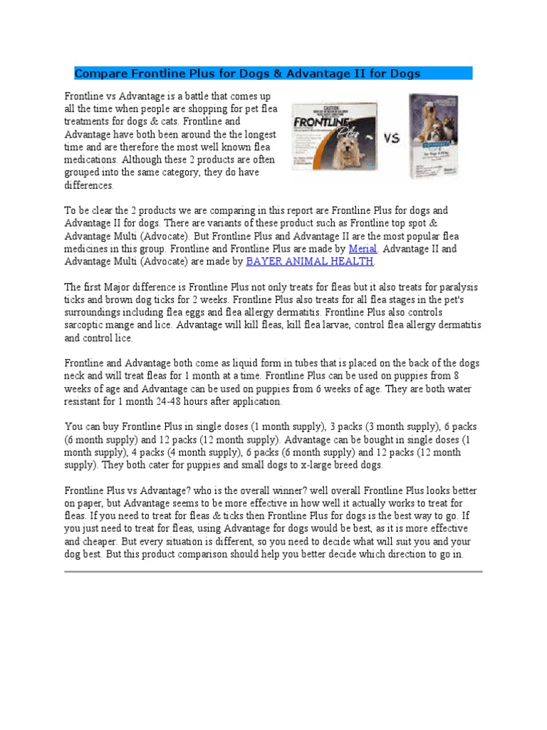 Frontline Vs Advantage Flea Control PDF Dogs Domesticated Animals