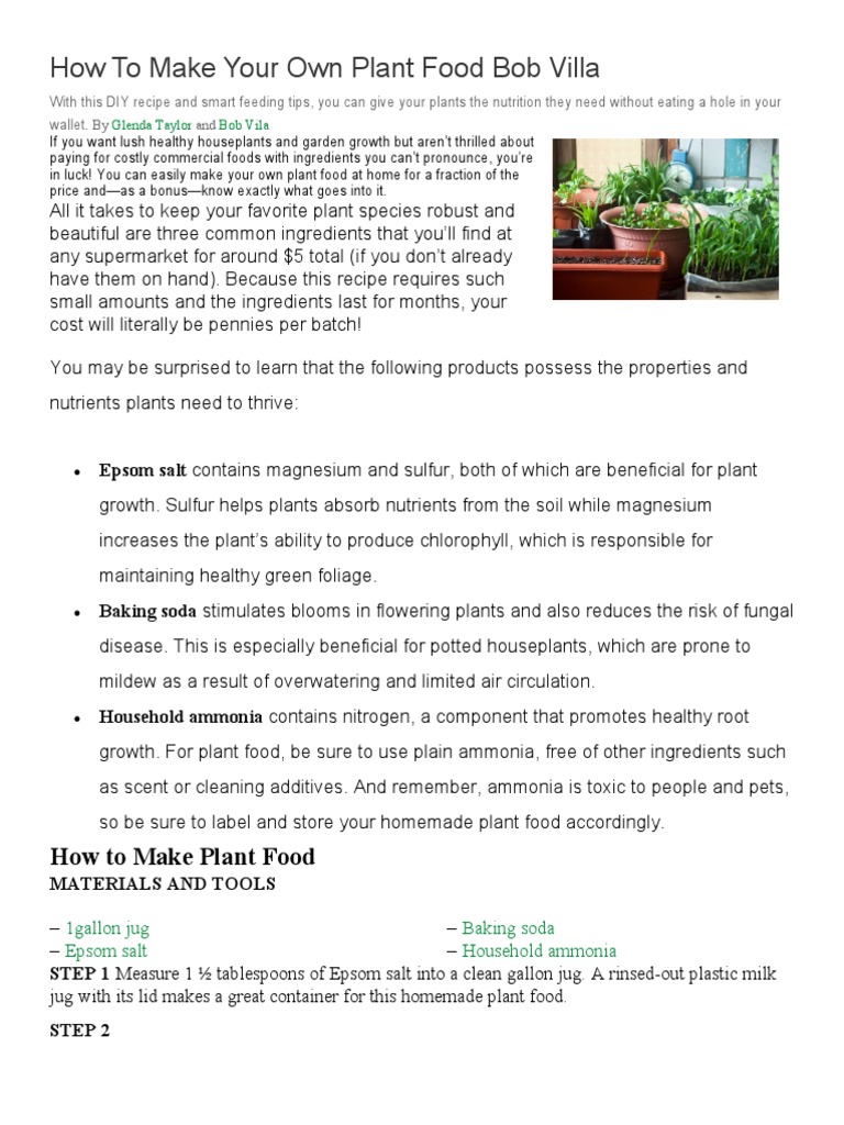 hanging hooks for plants Plant Hanger main image 0
