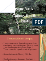 Tipo Forestal - Cohigue - Rauli - Tepa - Chile - 2009 - UMCE