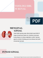 Kel 4 - PPT Adaptasi Ginjal Pada BBL