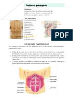 Incisiones Quirúrgicas