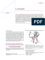 Adenopatías Cervicales